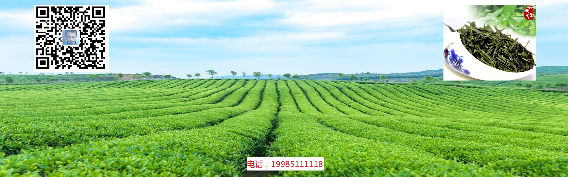 梵净山翠峰茶是什么茶？