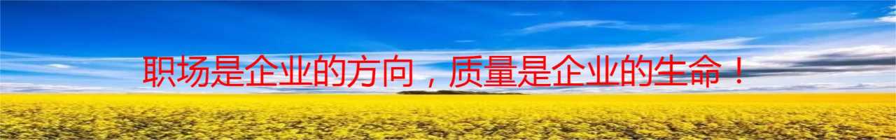 云南冷铺沥青呈贡销售公司