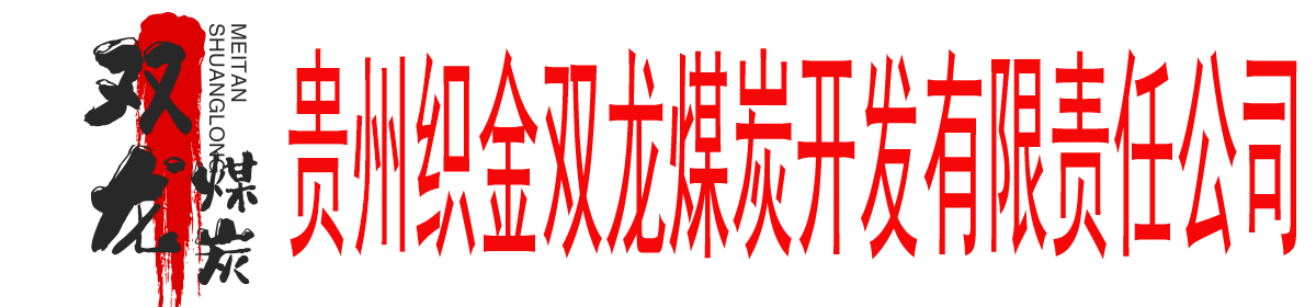 贵州织金双龙煤炭开发有限责任公司织金县白泥乡双龙煤矿