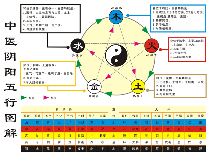 易经五行,五色,五味,五脏,五官对应表