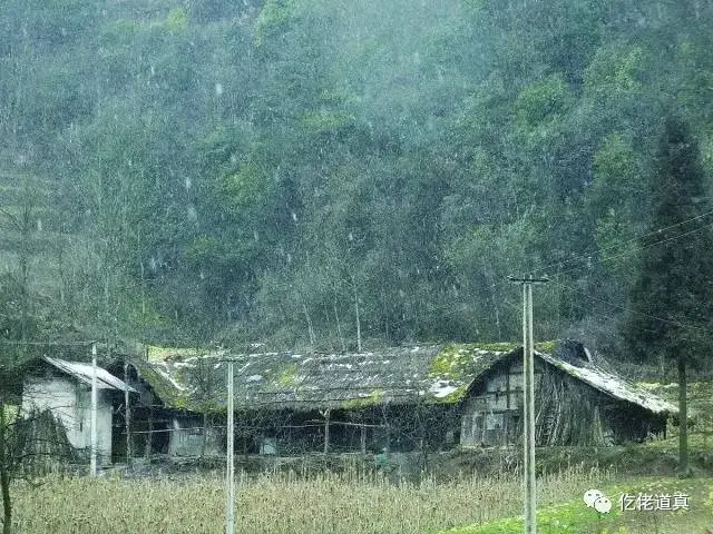 贵州遵义避暑大塘土鸡新村