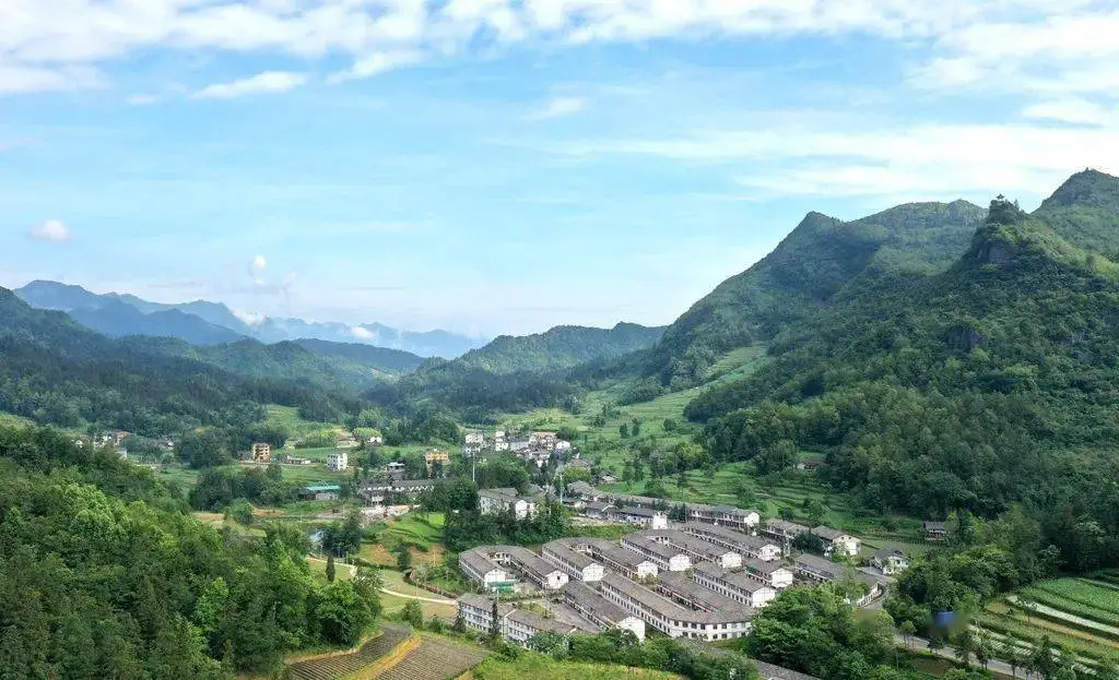 贵州遵义避暑大塘土鸡新村