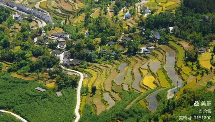 贵州遵义避暑大塘土鸡新村