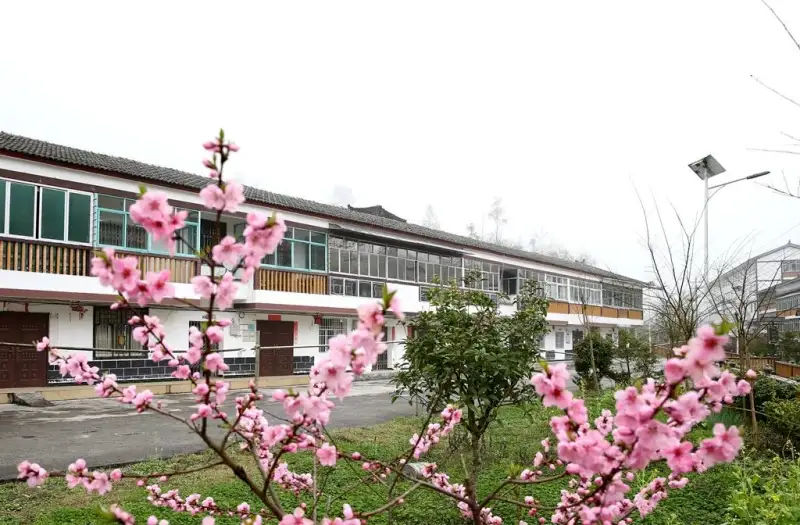 贵州遵义避暑大塘土鸡新村